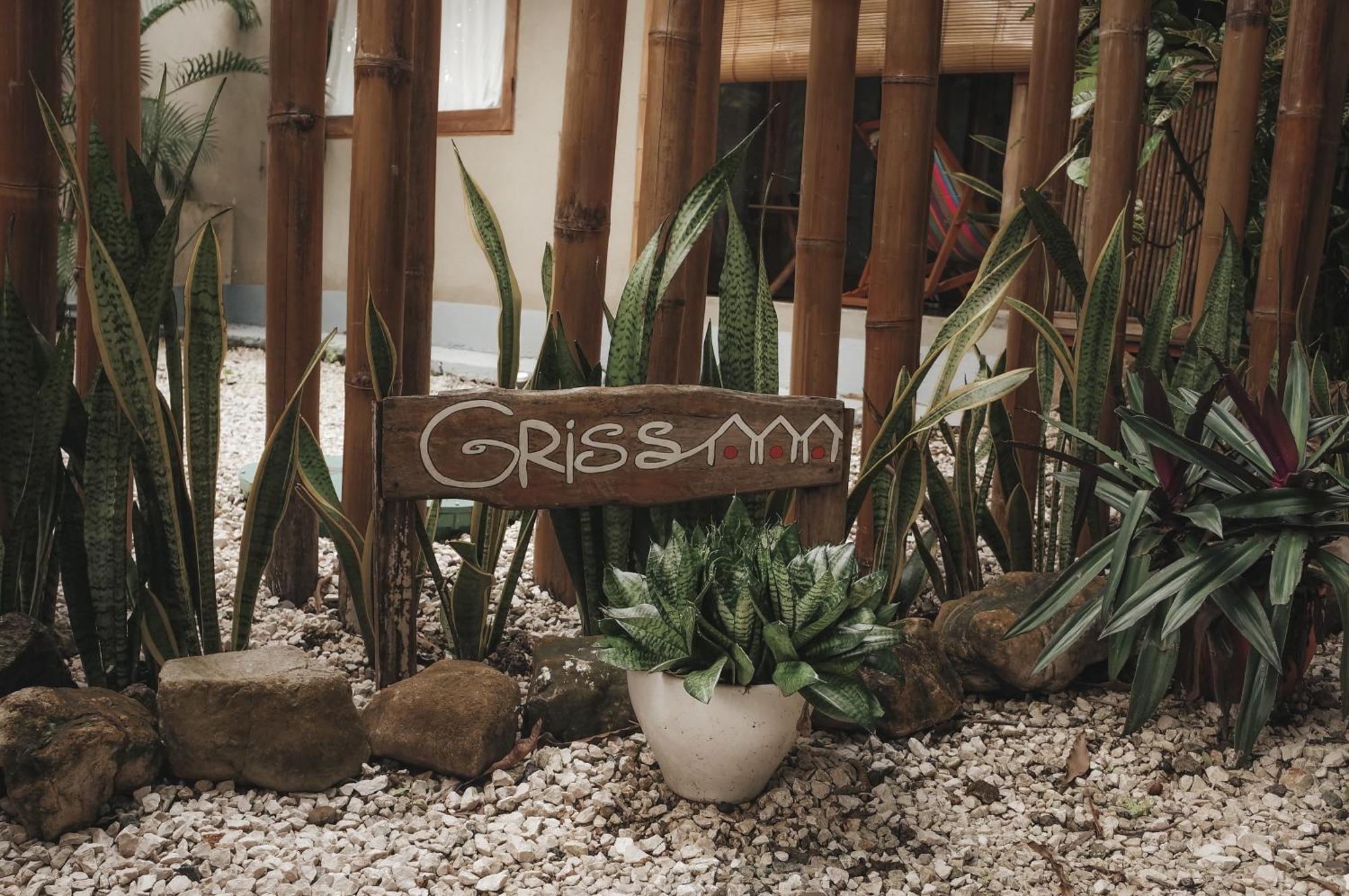 Griss Lodge & Spa Playa Santa Teresa  Exteriér fotografie